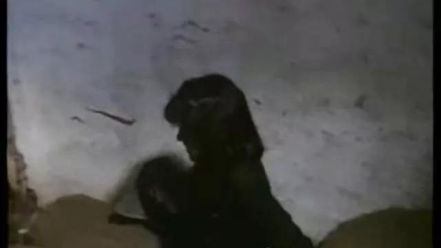 Bedava porno hiçbir kayıt Amatör Asya son derece azgın teen BBC bedava sikis vidolari sürtük