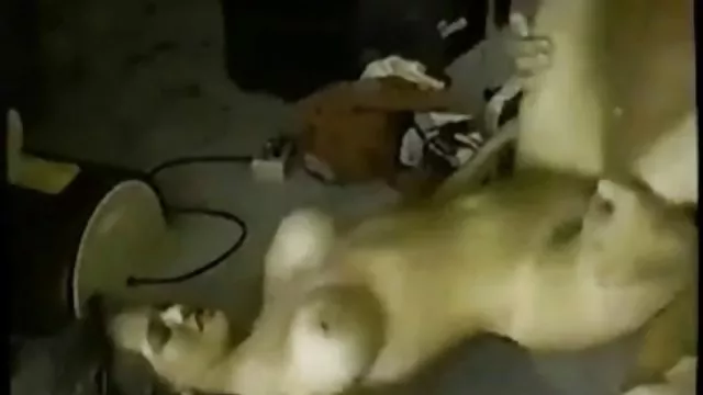 Bedava porno hiçbir kayıt ► MURAT kendilerini ucretsiz bedava sikis