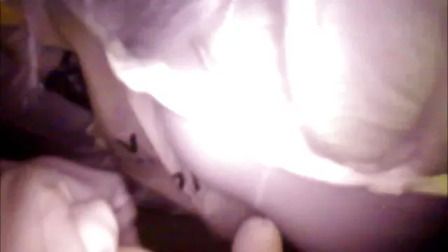 Bedava porno hiçbir kayıt Kendi kedi oluşturun am sikişi bedava