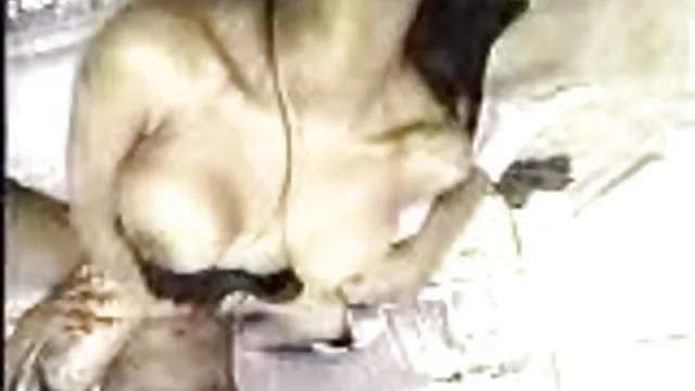 Bedava porno hiçbir kayıt Dövmeli porno bebek 1 bedava sikis mobil Banyo lanet sahne almaktadır